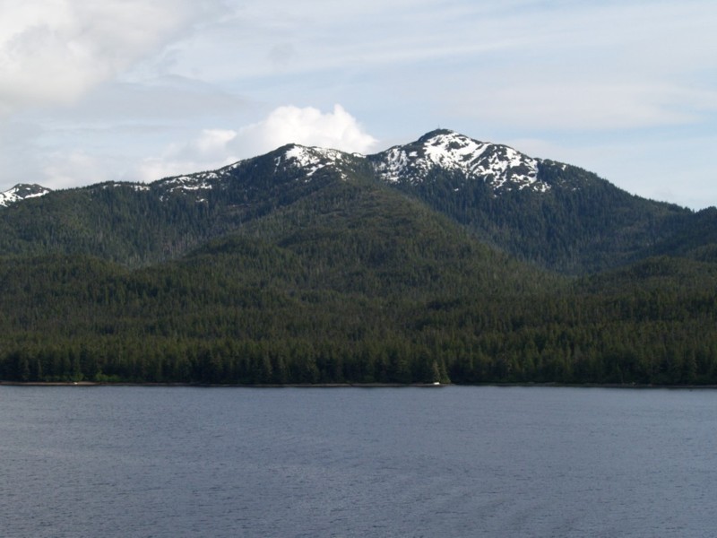 P6050432