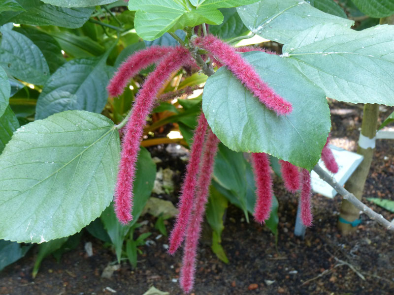 P1020378