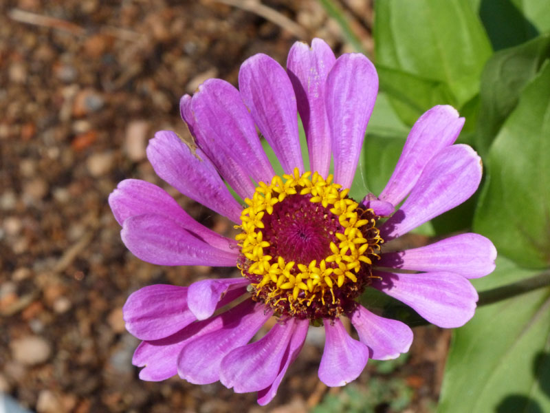 P1020382
