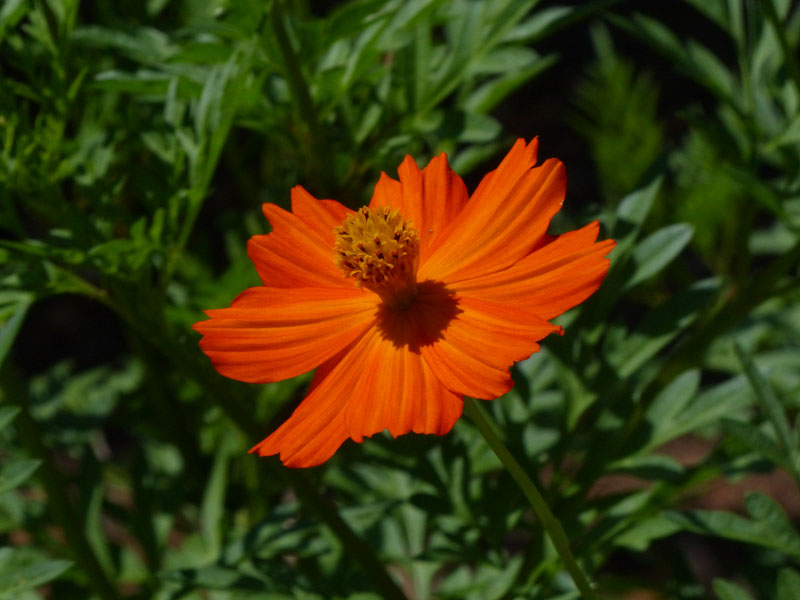 P1020383