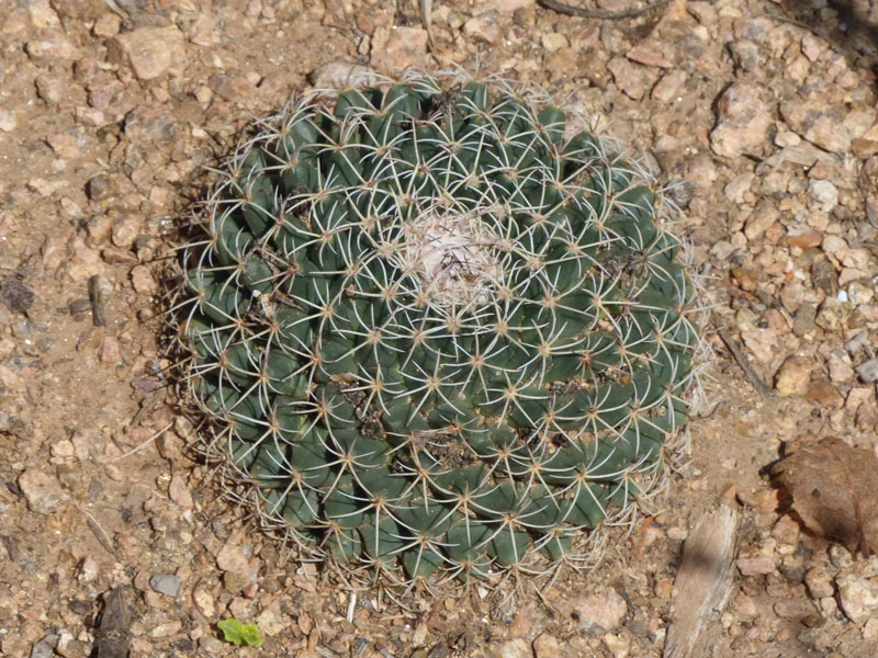 P1020384