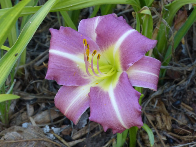 P1020386