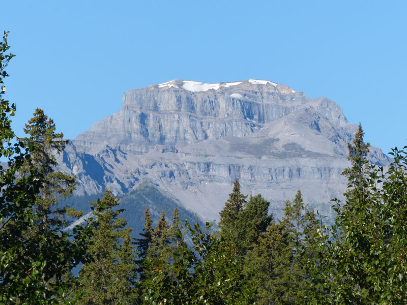P1030021