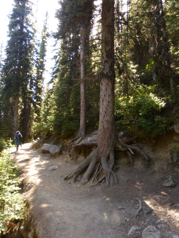 P1030066