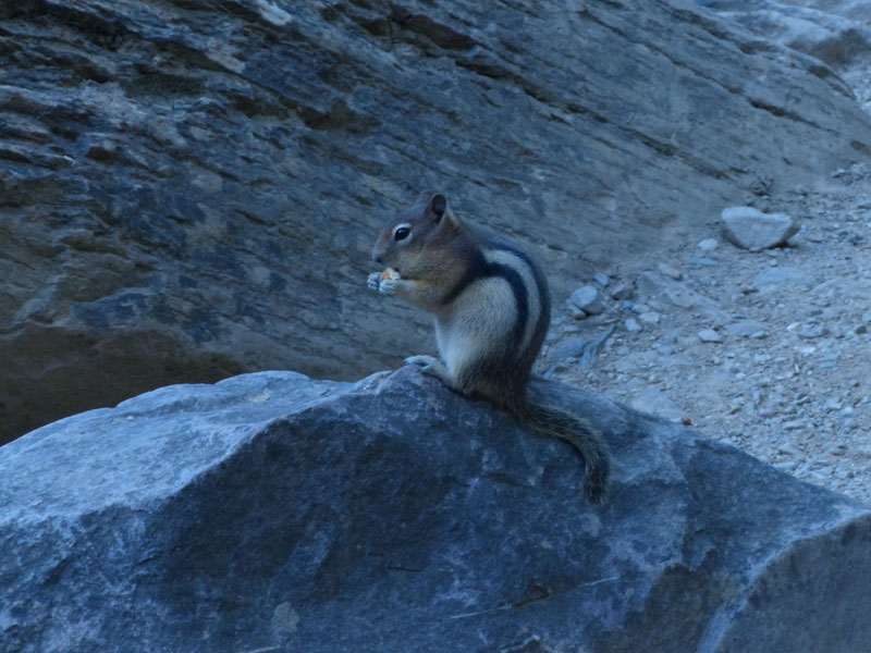 P1030086