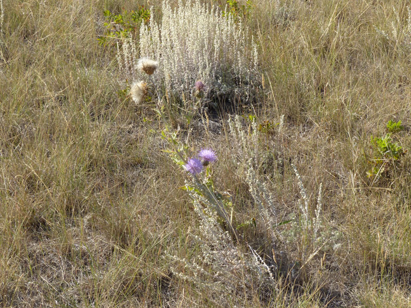 P1020978