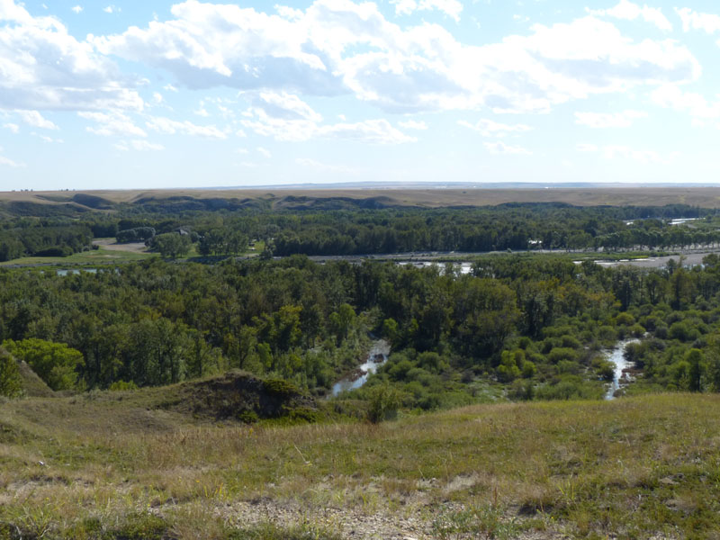 P1020979