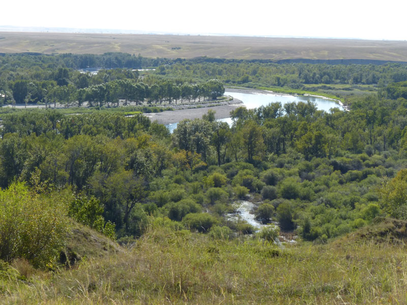 P1020992