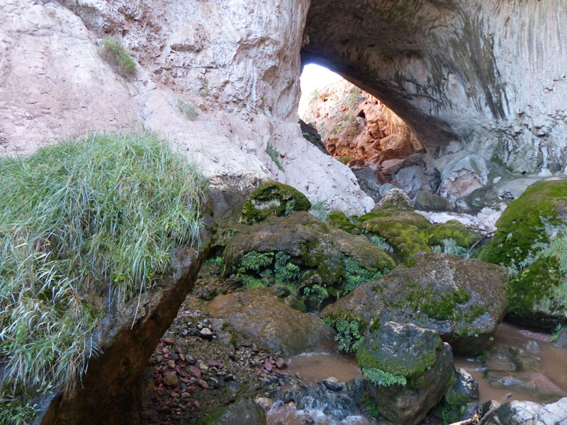 P1020134