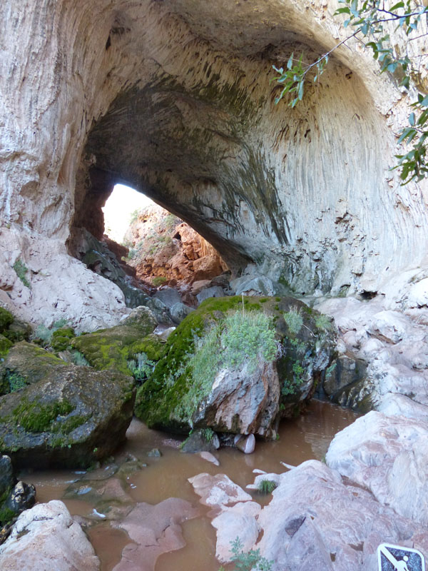 P1020136