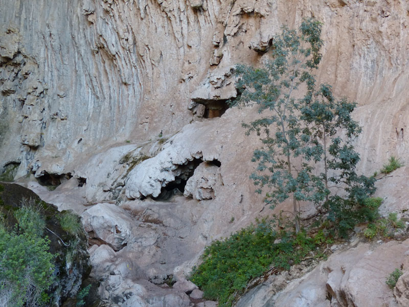 P1020137