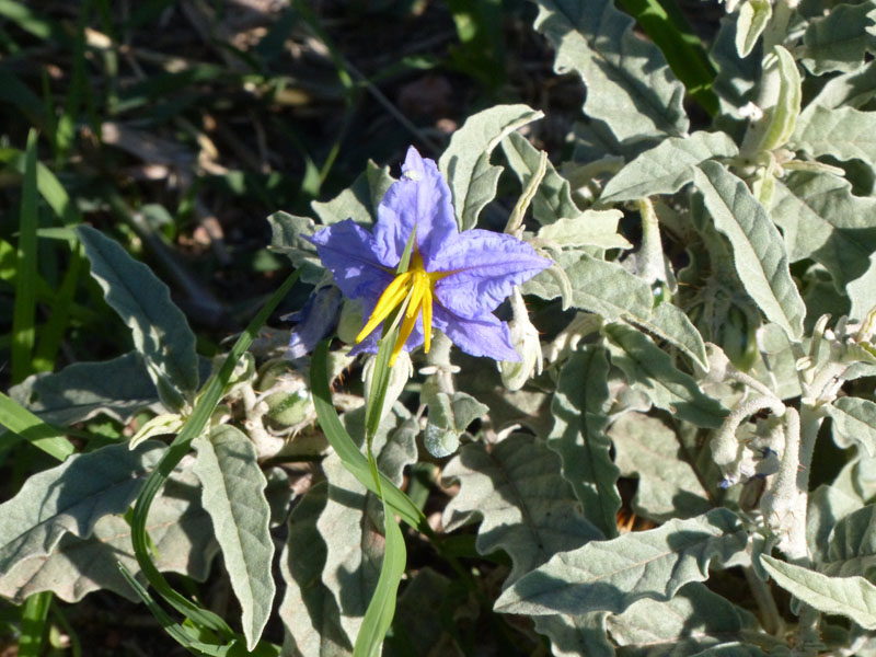P1020164