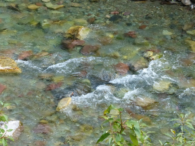 P1030129