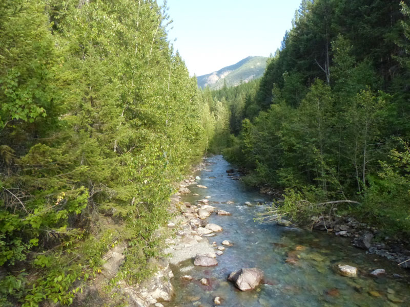 P1030131