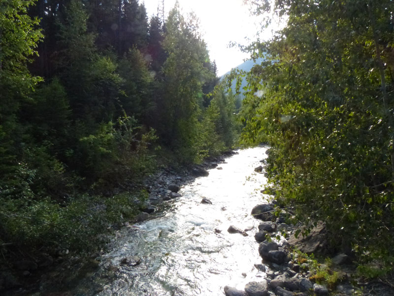 P1030132