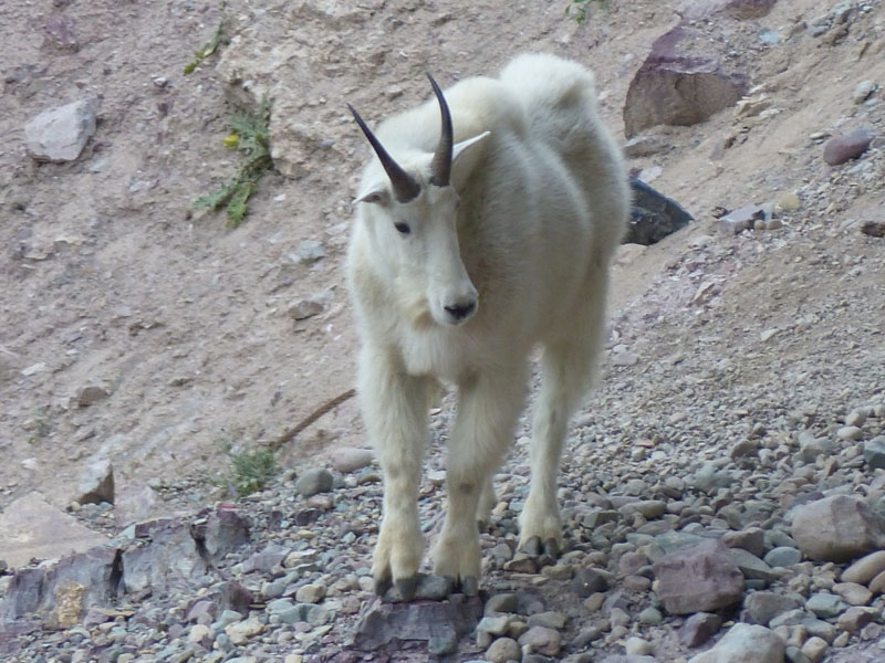 P1030156