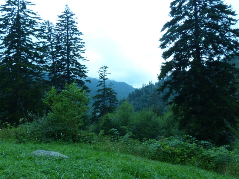 P1020607