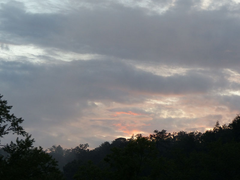 P1020661