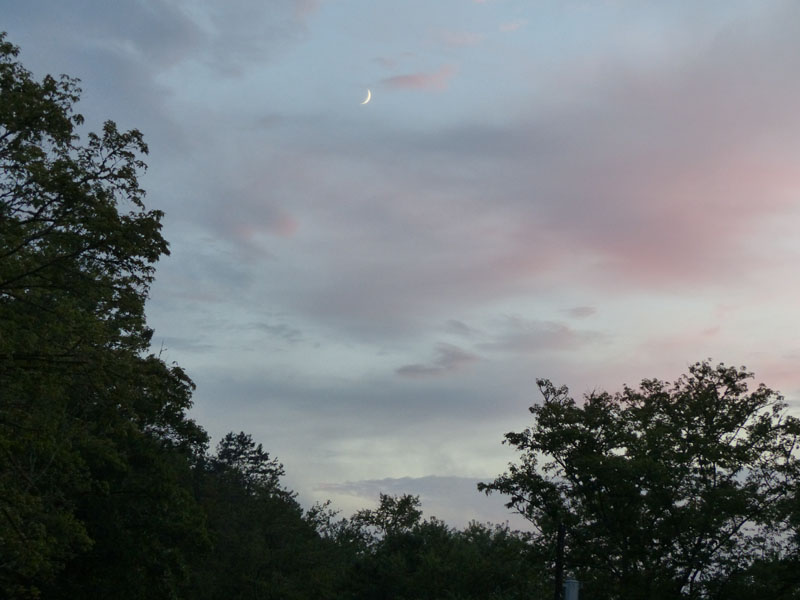 P1020663