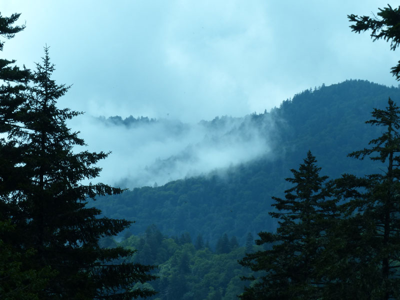 P1020674