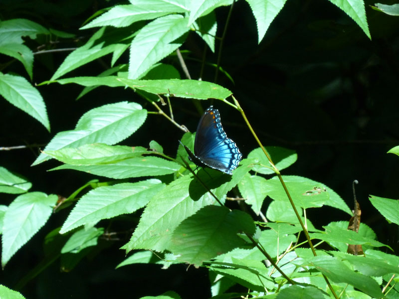 P1020734