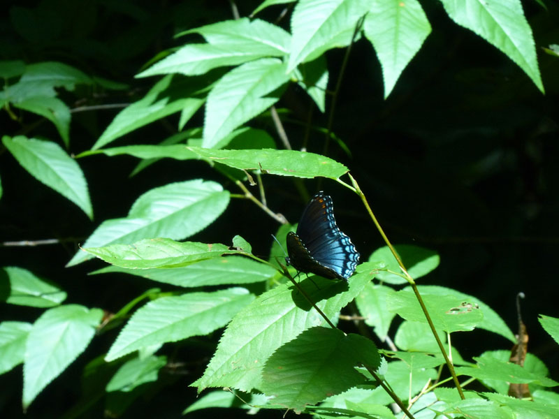 P1020735