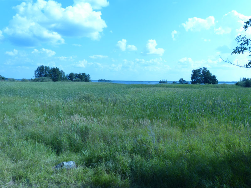 P1020894