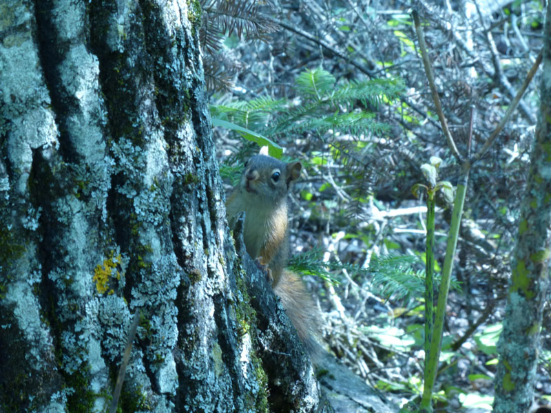 P1020896