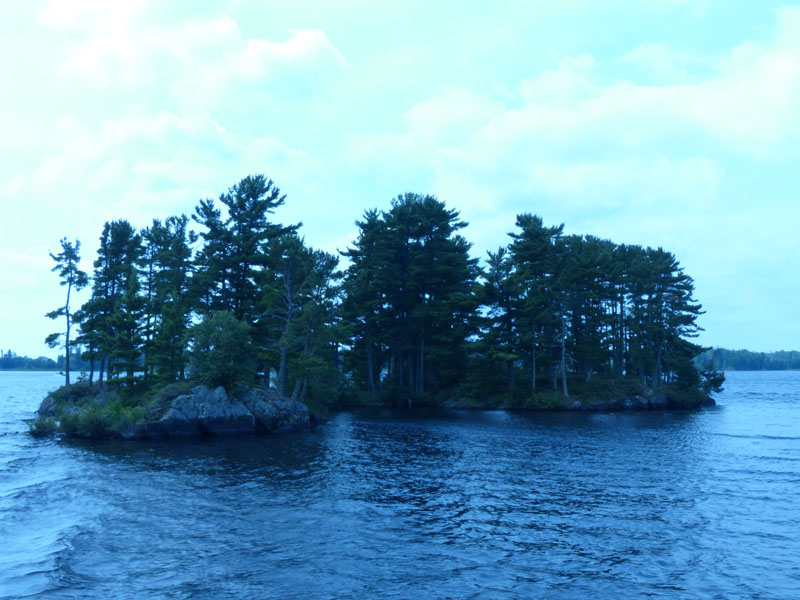P1020907