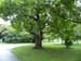 P1020480