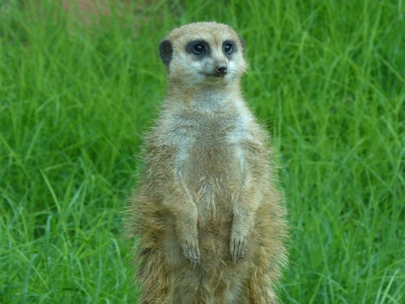 P1020422