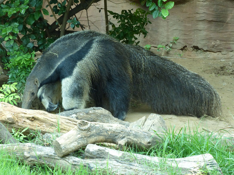 P1020438