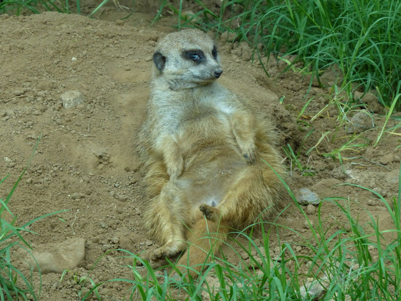 P1020440