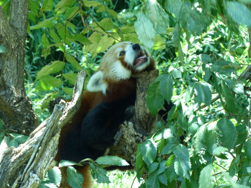 P1020445