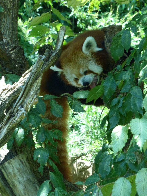 P1020447