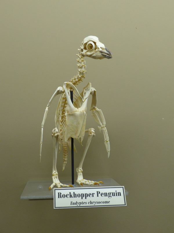 P1020413