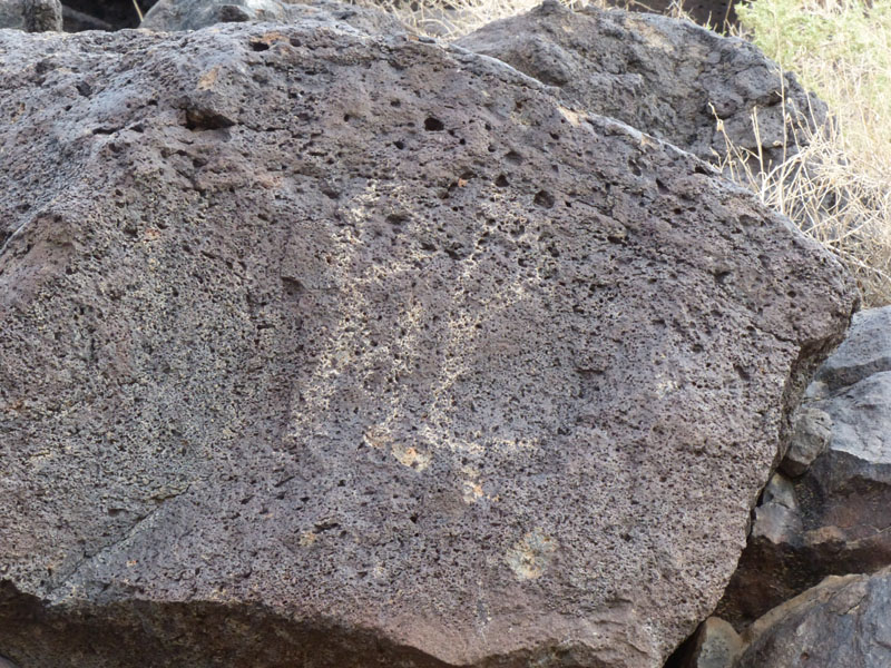 P1020191