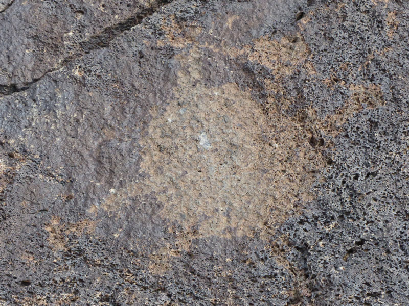P1020209