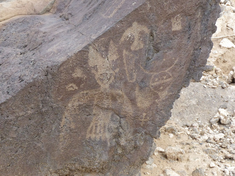 P1020210