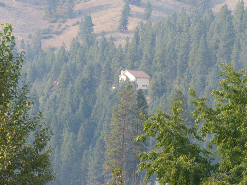 P1030411