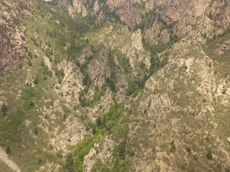 P1020288