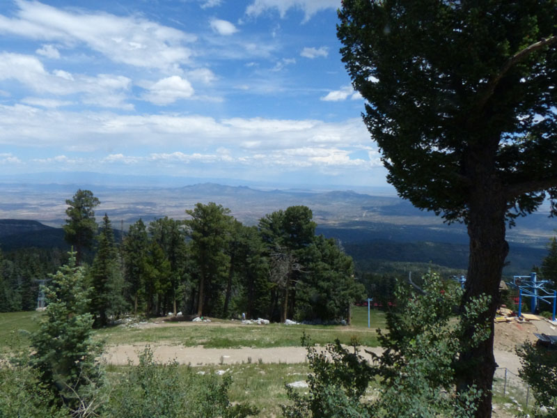 P1020297