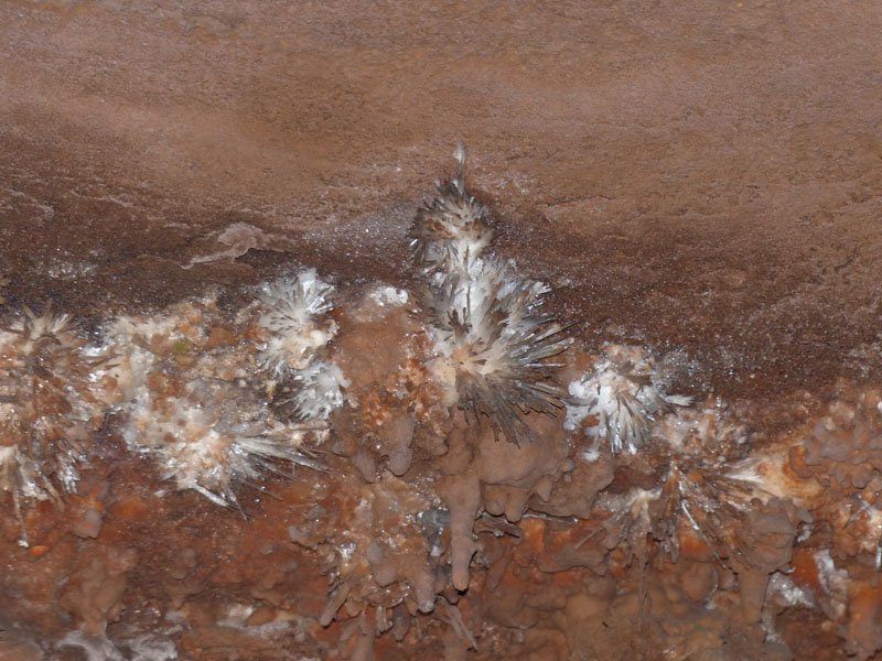 P1020505
