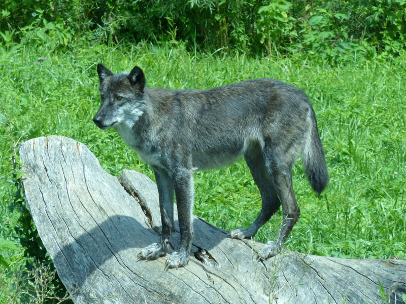 P1020830