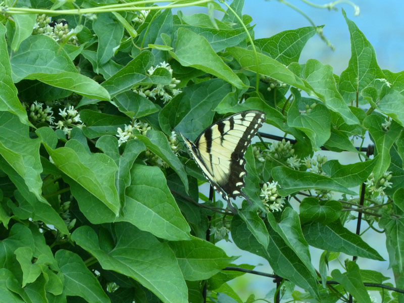 P1020841
